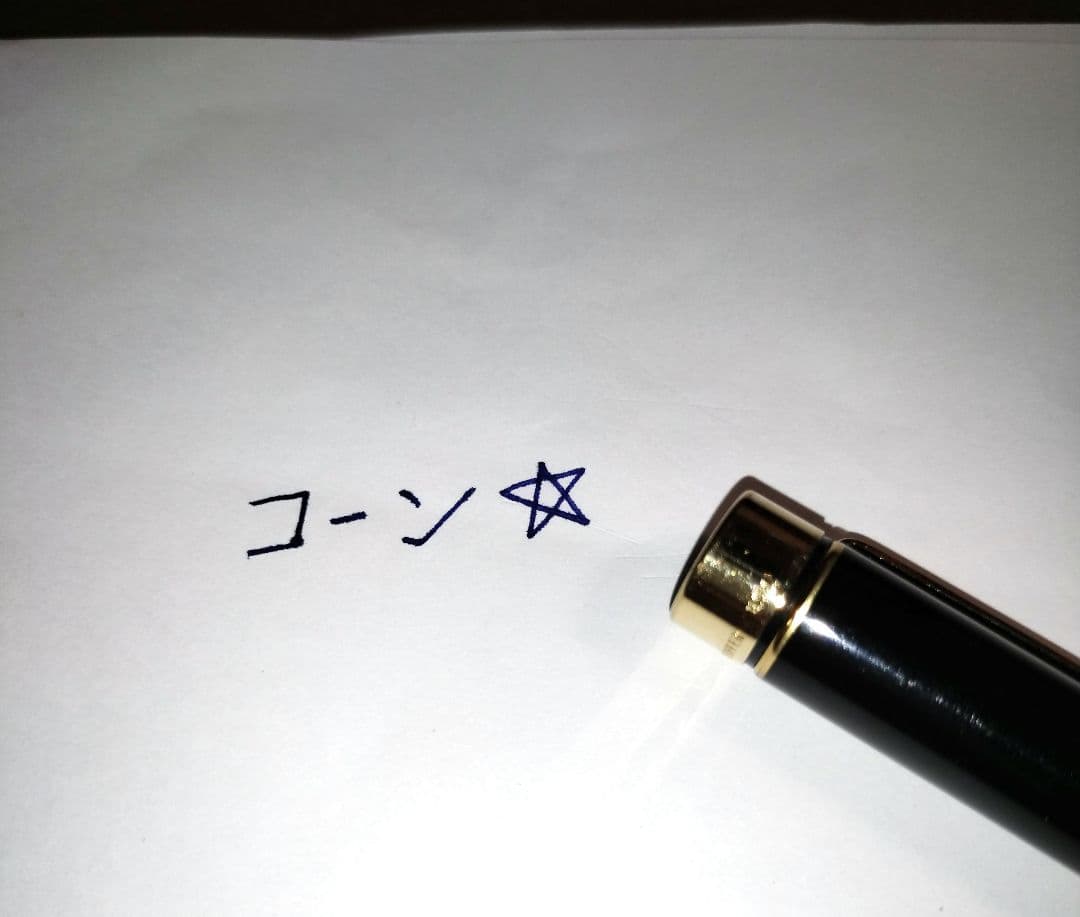 シェーファー USA 黒 万年筆 00485 ペン先K14刻印