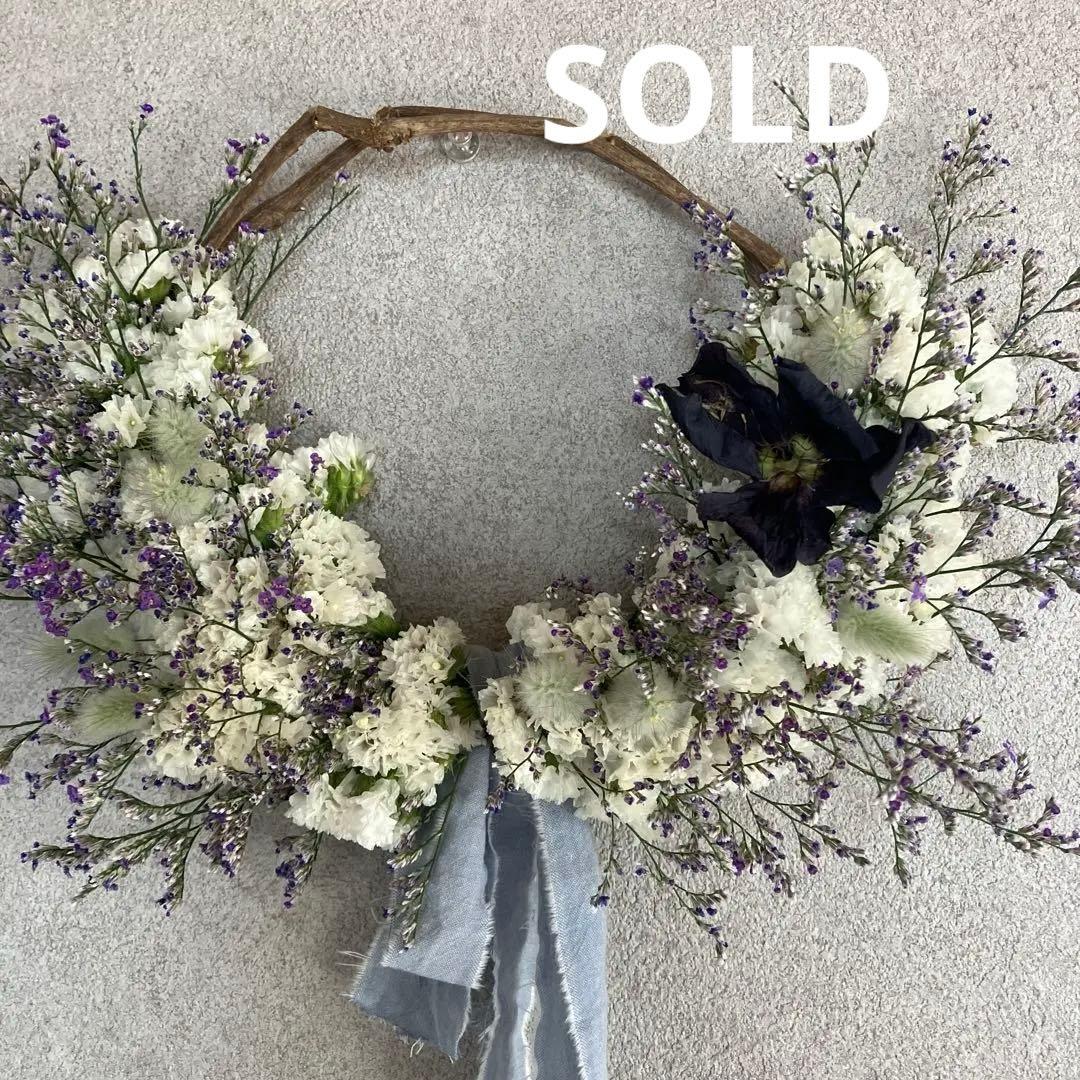 感謝SALEブルーウェーブとスターチスのリース　ハイブリットスターチス