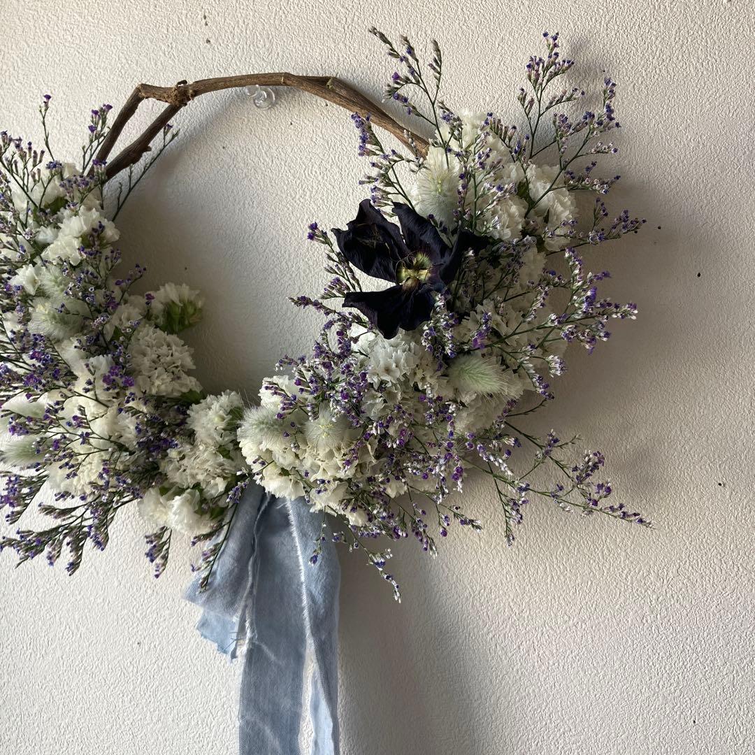 感謝SALEブルーウェーブとスターチスのリース　ハイブリットスターチス