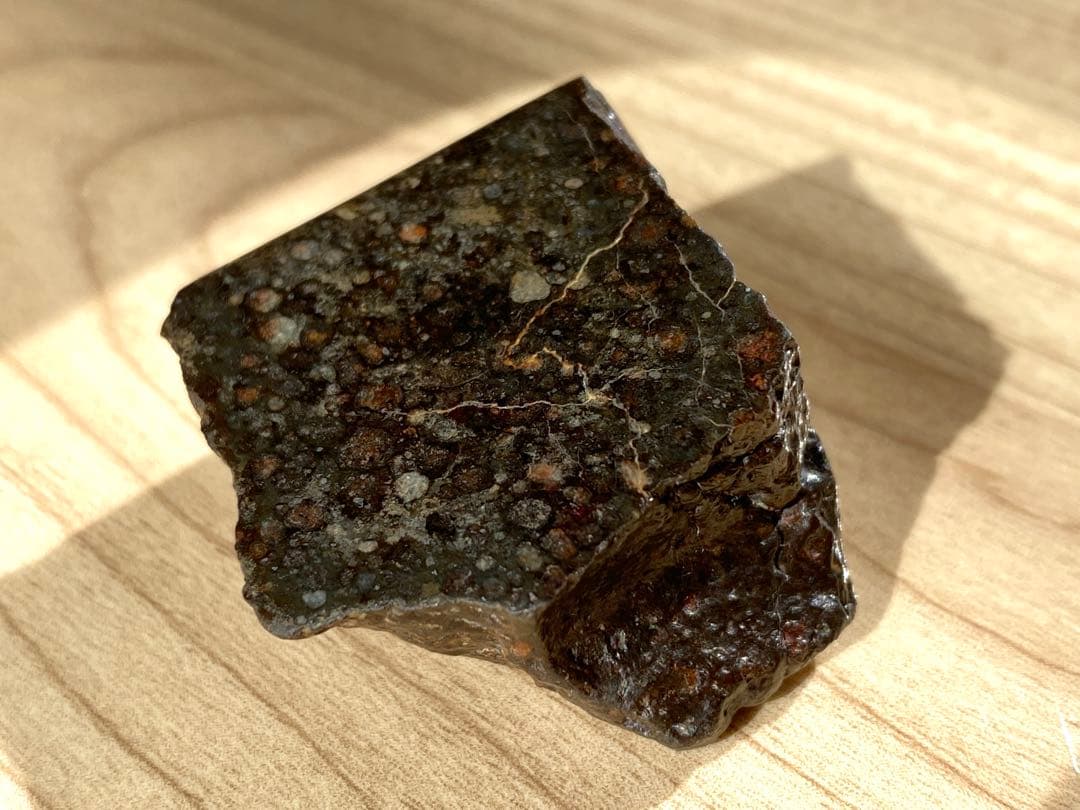 CVred3 炭素質 隕石 31.4g NWA12590 メテオライト 標本