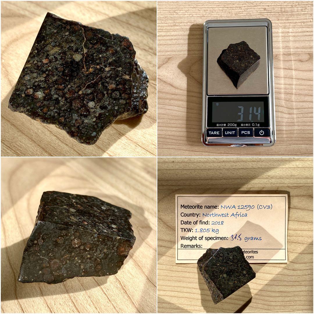 CVred3 炭素質 隕石 31.4g NWA12590 メテオライト 標本