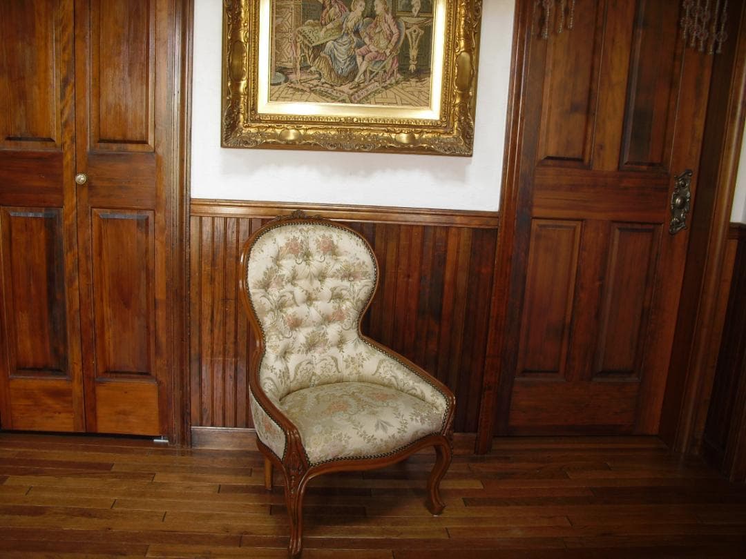 イタリア製☆ロココ様式☆スプーンバックチェア☆猫脚 鋲打ち 高級ジャガード織