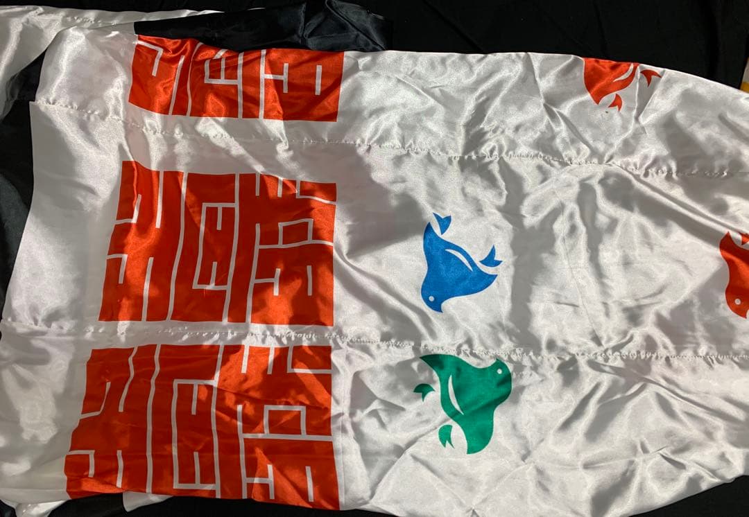 【大型】　鯉のぼり　6mセット　羽衣鯉