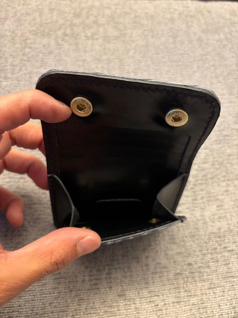 ワイルドスワンズ　タング風　ケース