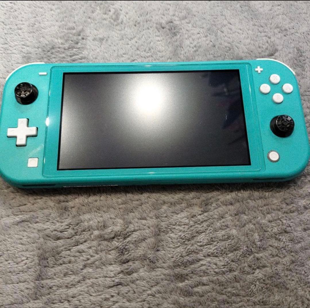 【ジャンク】【動作確認済み】Switchライト