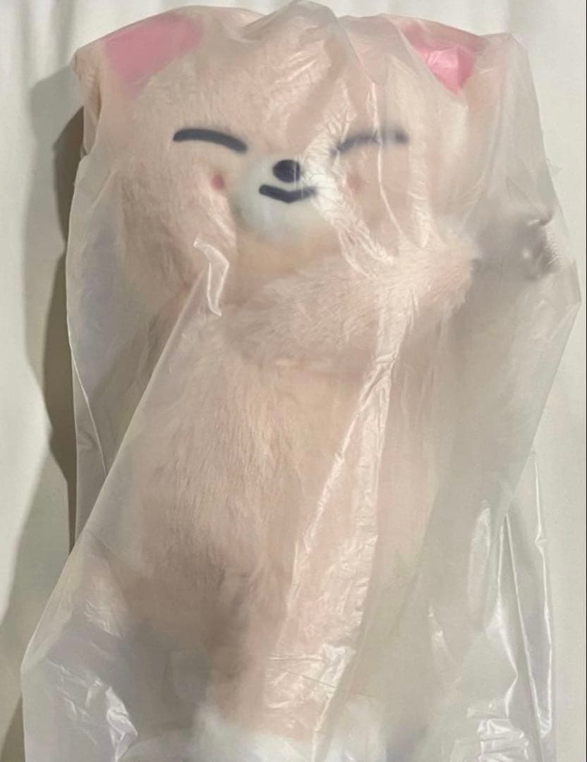 スキズ ポップアップ SKZOO PLUSH BAG FoxI.Ny アイエン