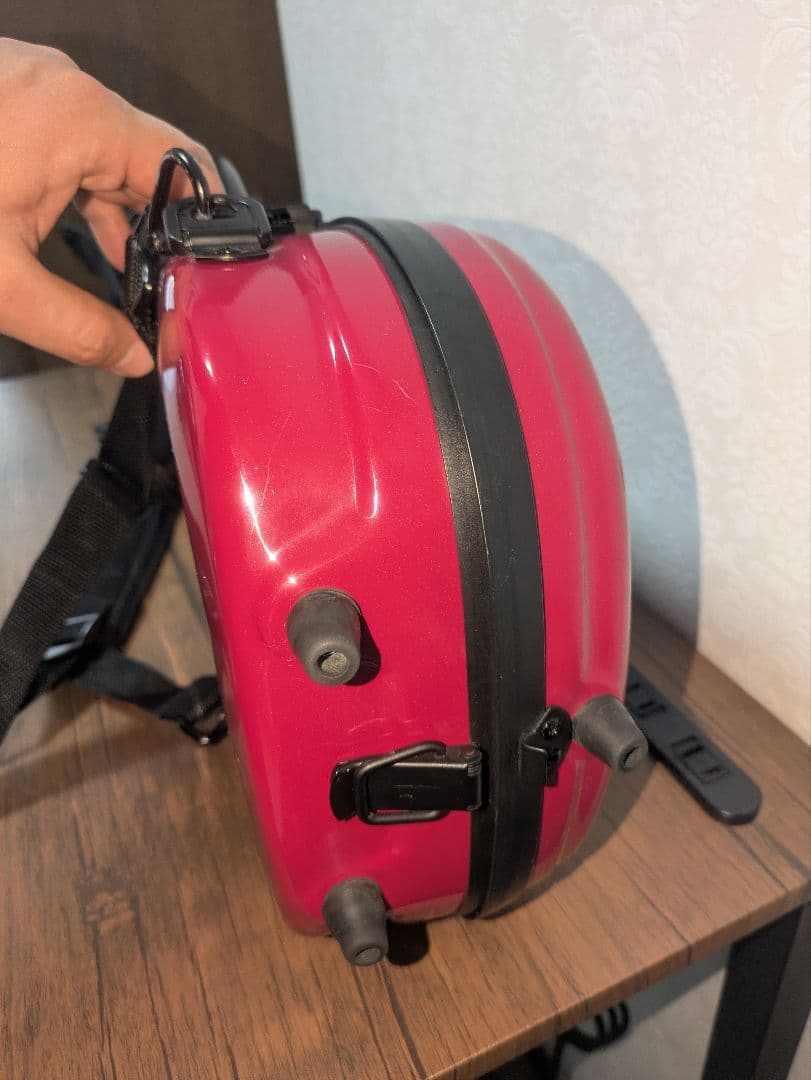 バイオリン ドイツ製　4/4　（プリュームファイバー）動画あり