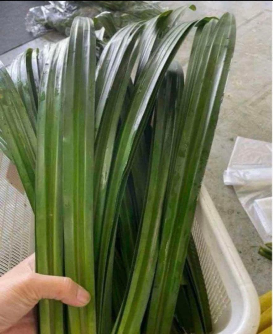 ベトナム最高香りパンダンリーフ葉オーダーページ