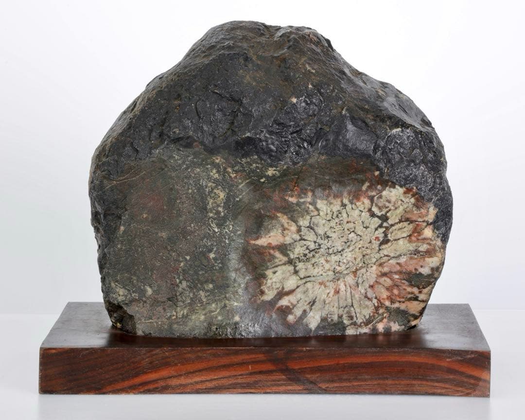 天然菊花石 大輪 台座付 大型8.5kg 鑑賞石 原石 水石 盆石 紋石 美石