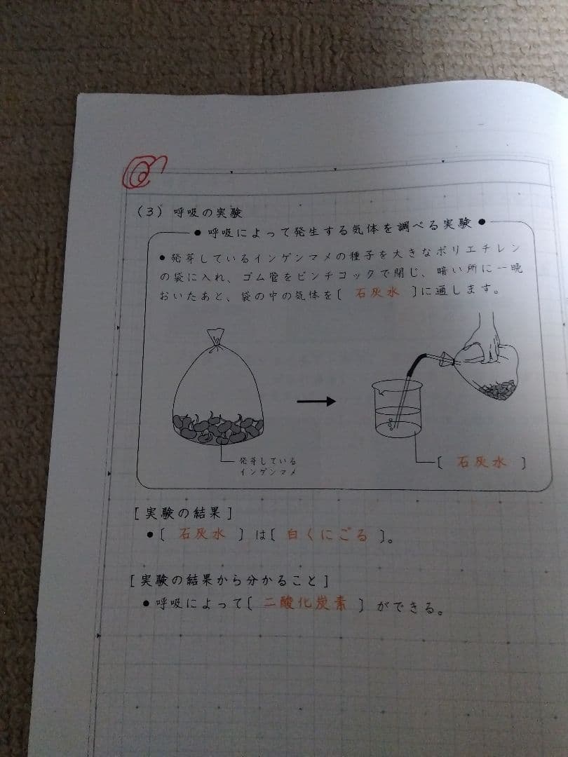 2022 SAPIX ウィークリーサピックス 理科・社会 知識の総完成 赤解答