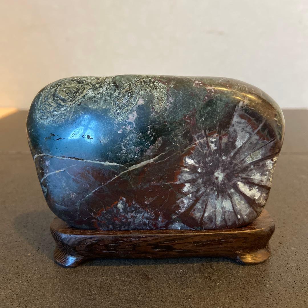 菊花石　★ 鑑賞石　菊花石　水石