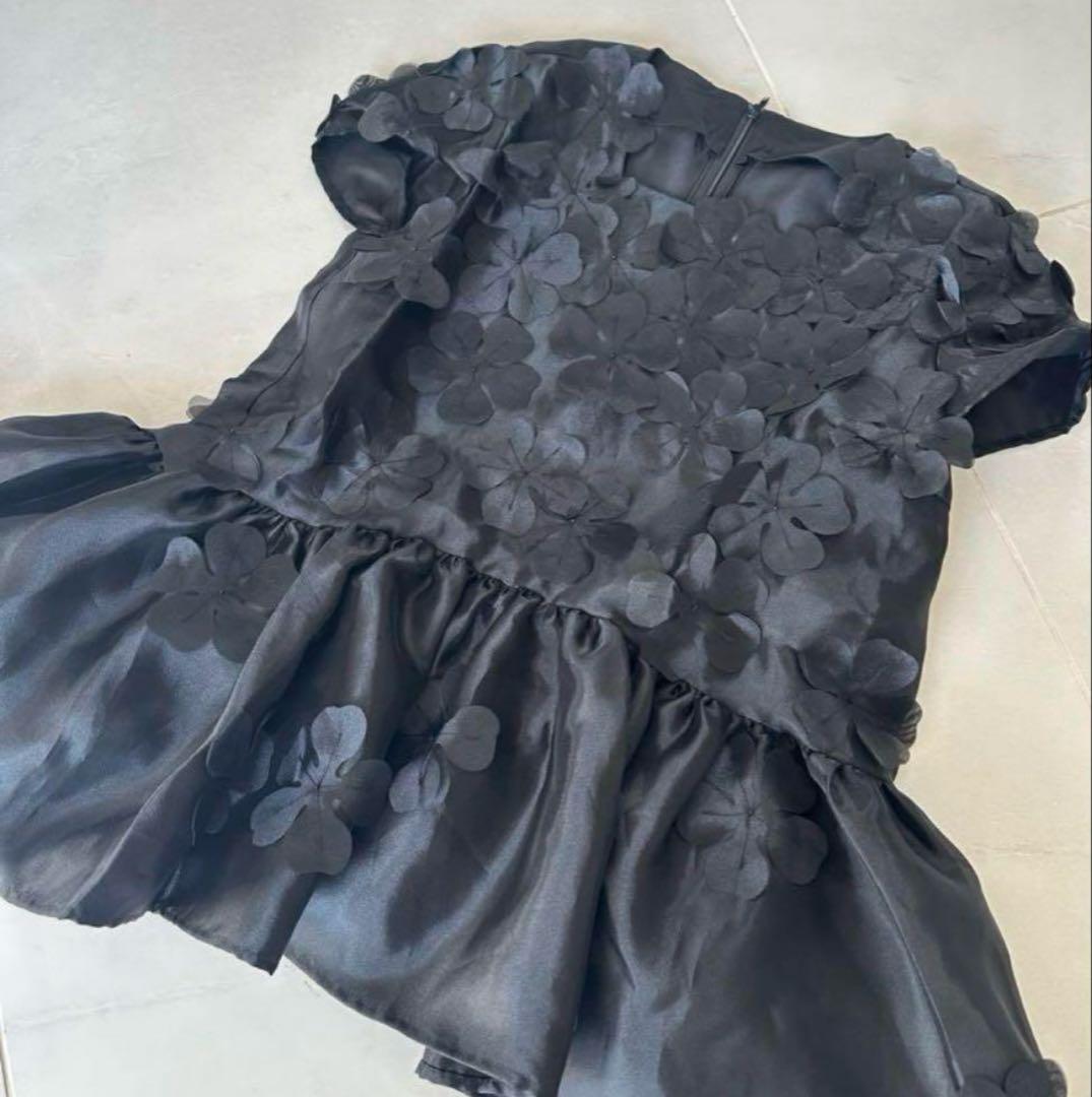 ツルバイマリコオイカワ Chopiniana ブラウス