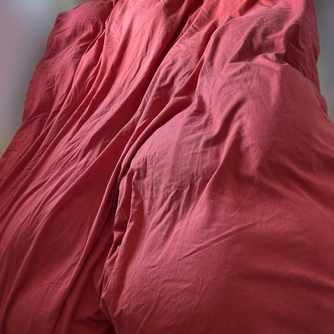 Gold Down 花柄羽毛布団　最高級　ダブル