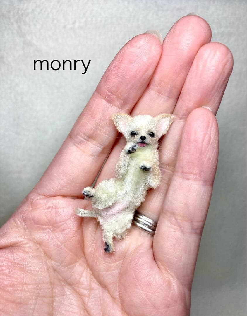 モールアート☆スムースチワワ☆へそてん