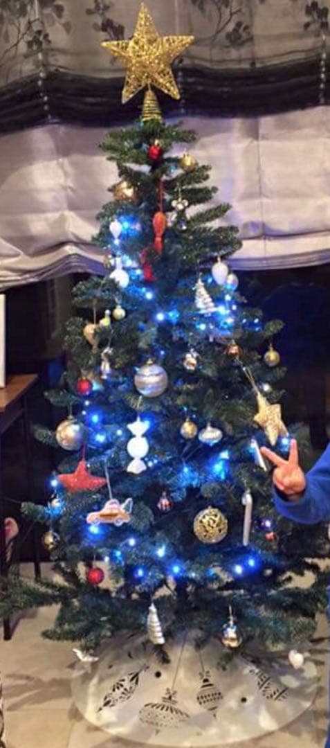 お値下げ！フランフラン クリスマスツリー セット