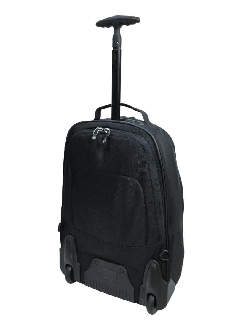 patagonia パタゴニア 2way MLC リュック キャリーバッグ