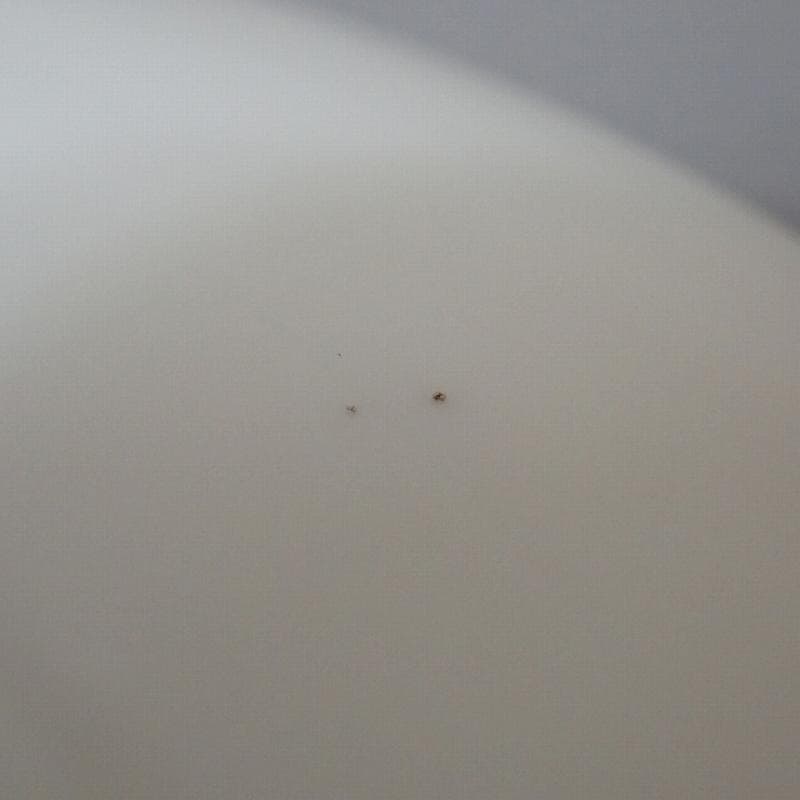 RU-5093　ロイヤルコペンハーゲン　イヤープレート　1924年