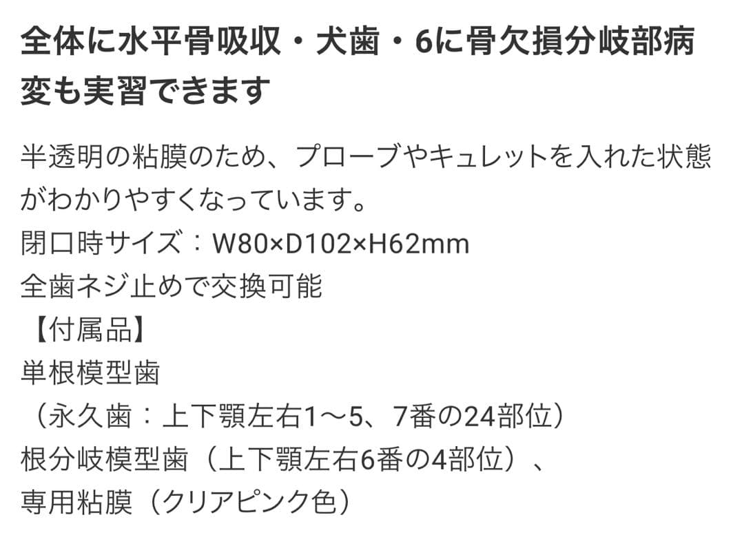 NISSIN 顎模型 口腔粘膜 頬粘膜