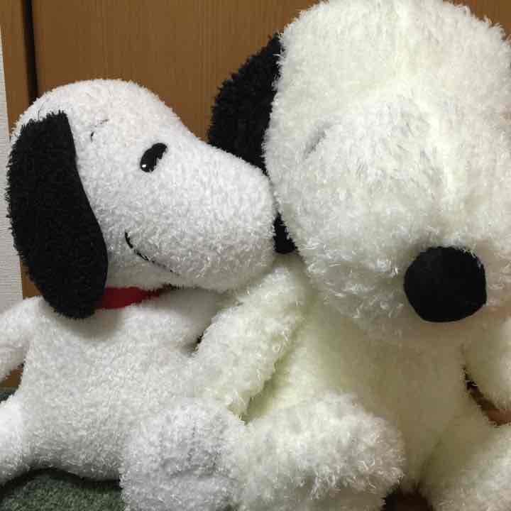 スヌーピー 大と小の2商品