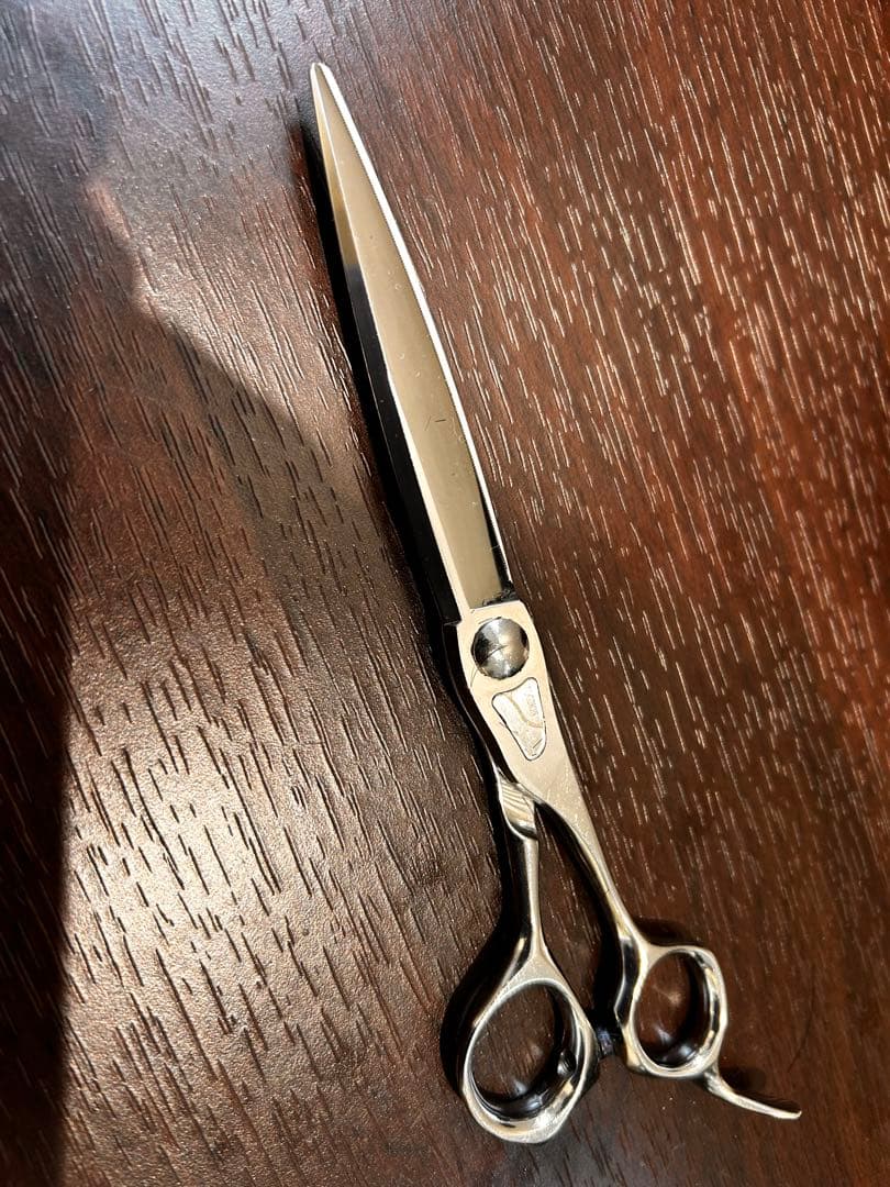 トギノン　マリンシャーク