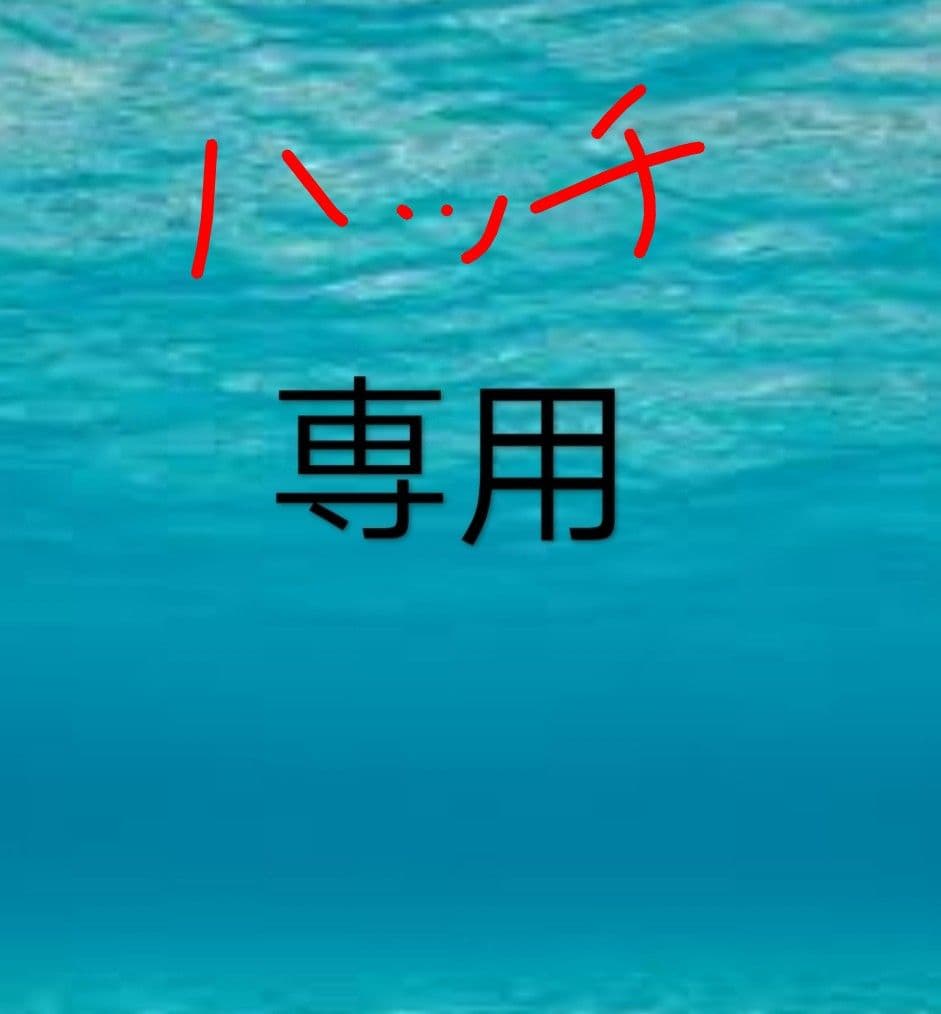 特たらこ２ｋ ２セット ハッチ