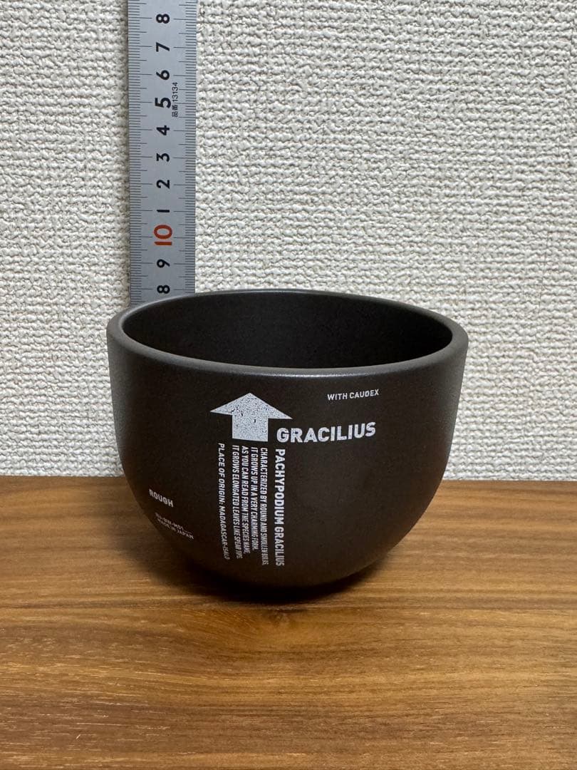 valiem 鉢（グラ専Mサイズ）