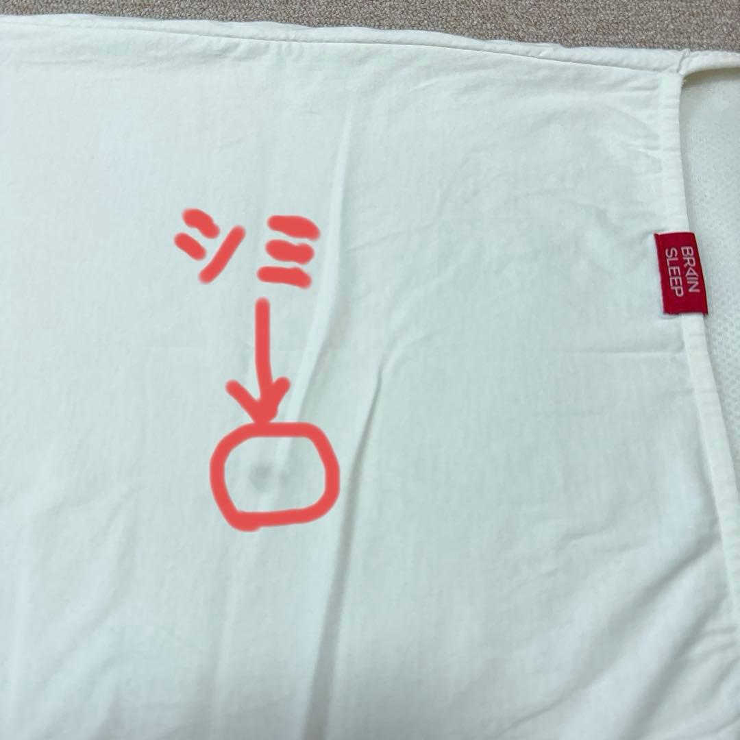 BRAIN SLEEP 低反発枕 収納バッグ付き