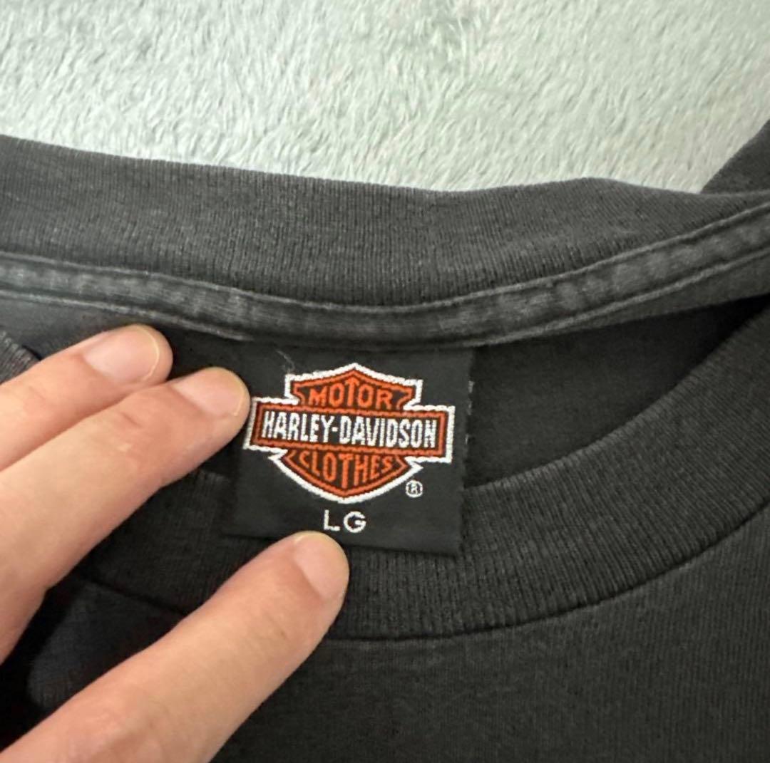 Harley-Davidson ロンT　ハーレーダビッドソン　ブルーフレイム