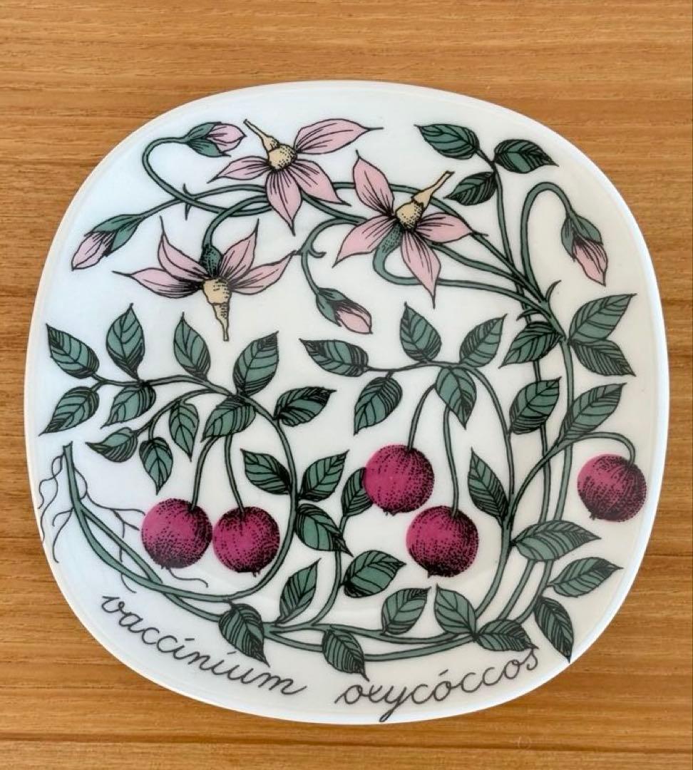 ARABIAエステリ・トムラ ボタニカ\"Vaccinium oxycoccos\"