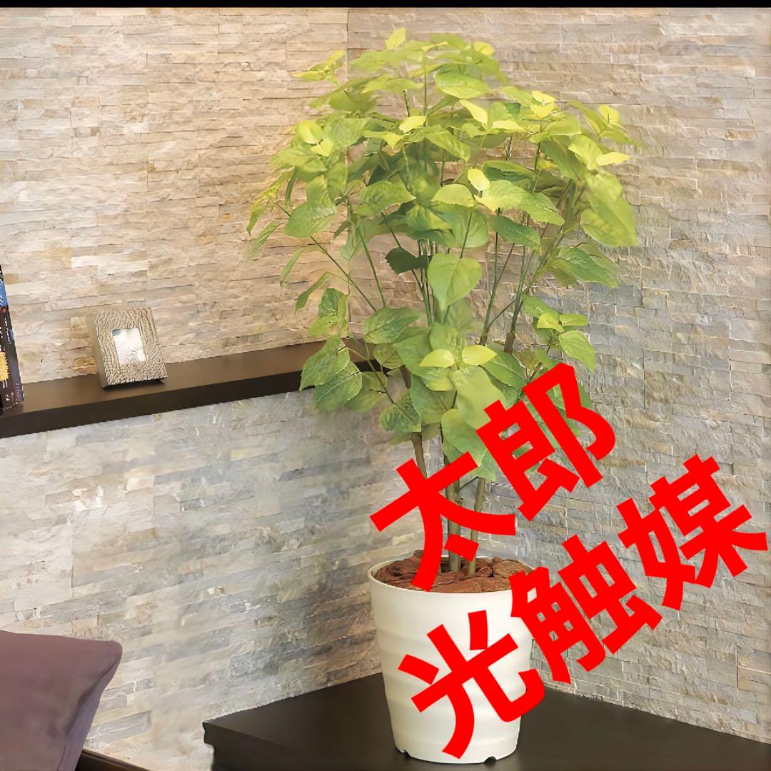 光触媒　人工観葉植物　ウォールグリーン　フェイクグリーン　ペリーラ1.0