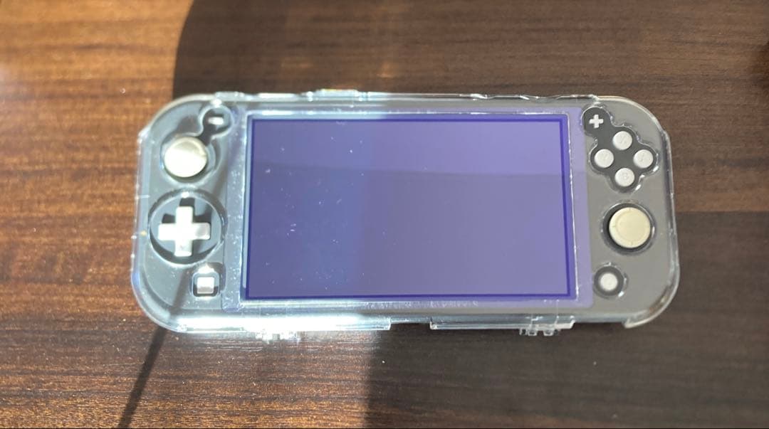 Nintendo Switch Lite グレー 充電器付き 箱付き ケース付属