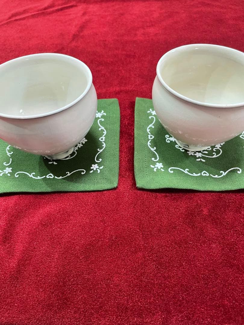 鈴木環　ピジョンカップ