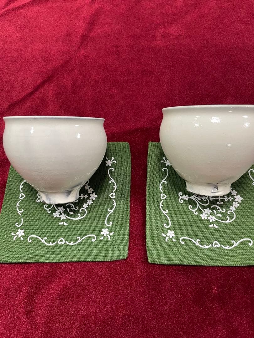 鈴木環　ピジョンカップ