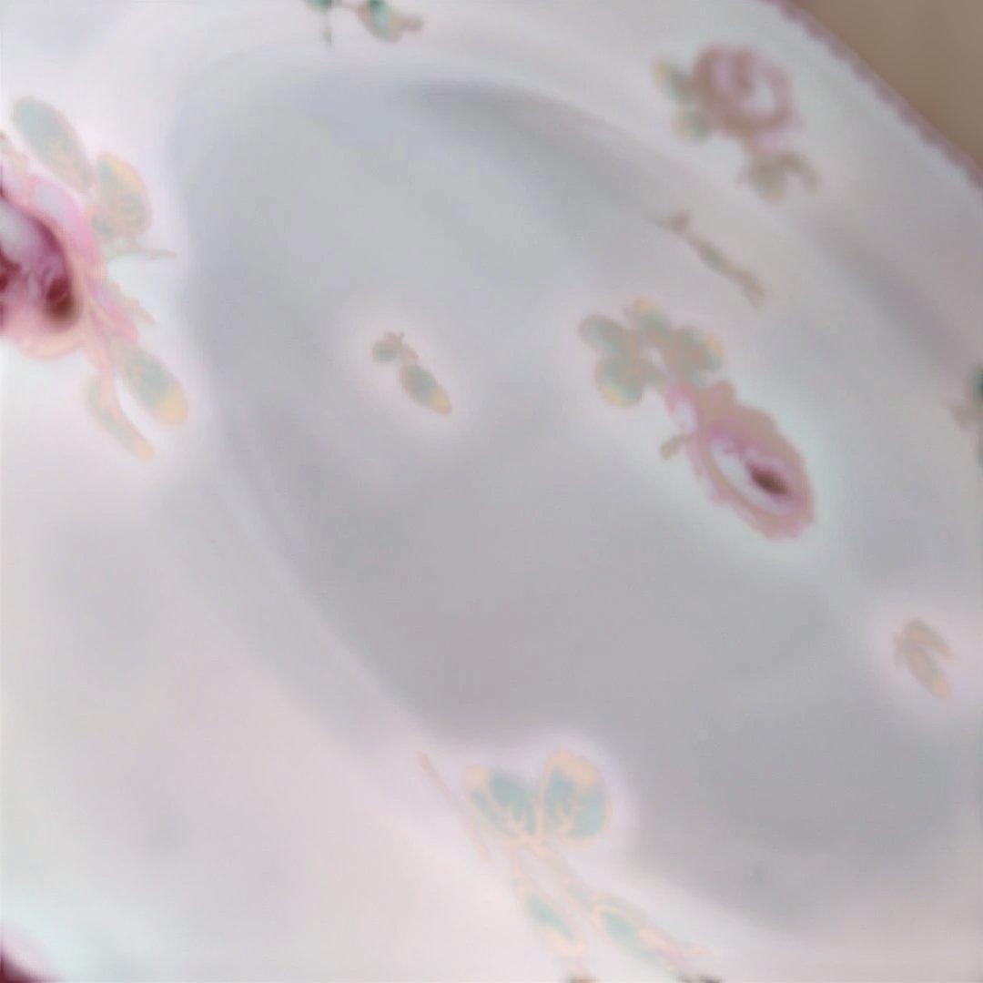 リチャードジノリアンティックローズ17センチプレート2枚美品