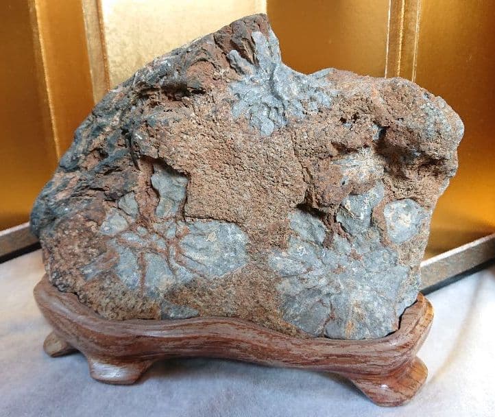 菊花石 岐阜県根尾谷産 川ずれ3.2キロ 鑑賞石 観賞石 自然石 天然石 置物