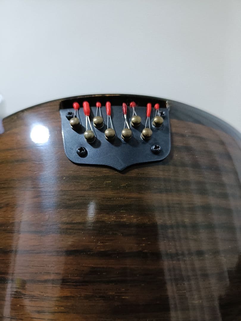 スズキマンドリン M-60 ハードケース付き