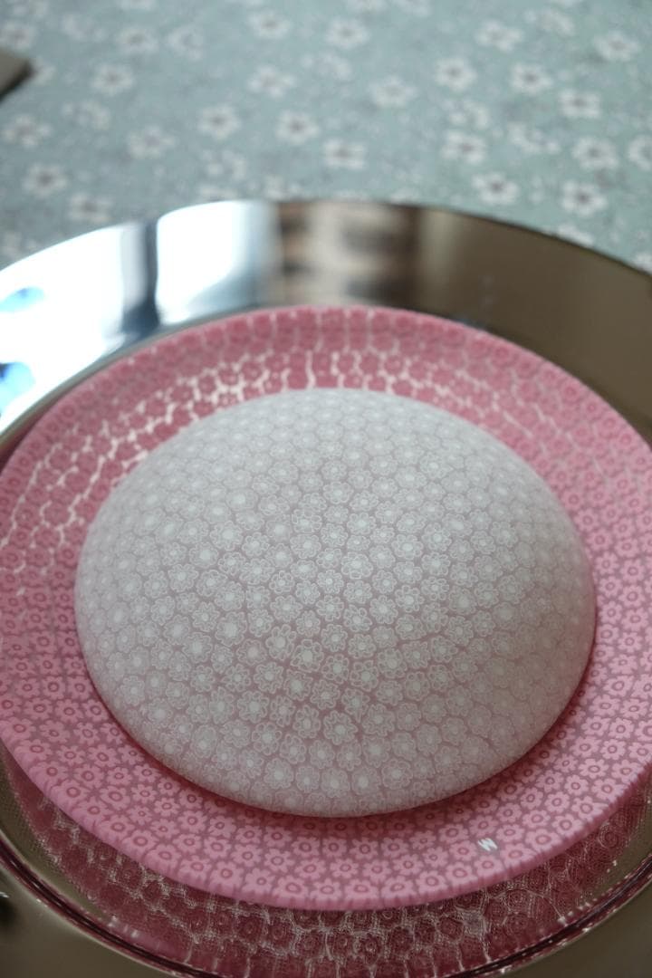 ミルフィオリ エルコーレモレッティ プレート 作家 黒木国昭/藤田喬平/田子美紀