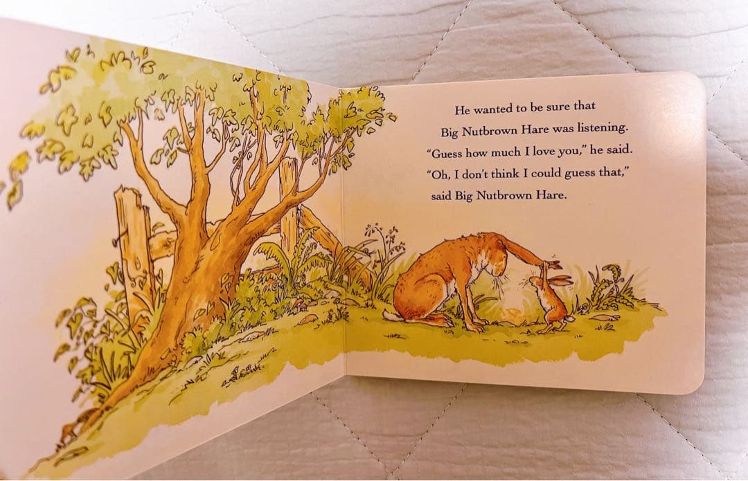 11冊セットEric Carle（エリック・カール）ボードブック絵本教材幼児向け