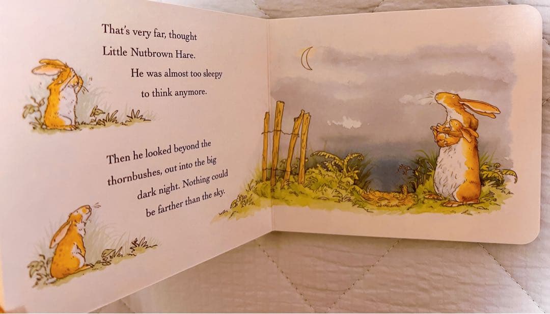 11冊セットEric Carle（エリック・カール）ボードブック絵本教材幼児向け