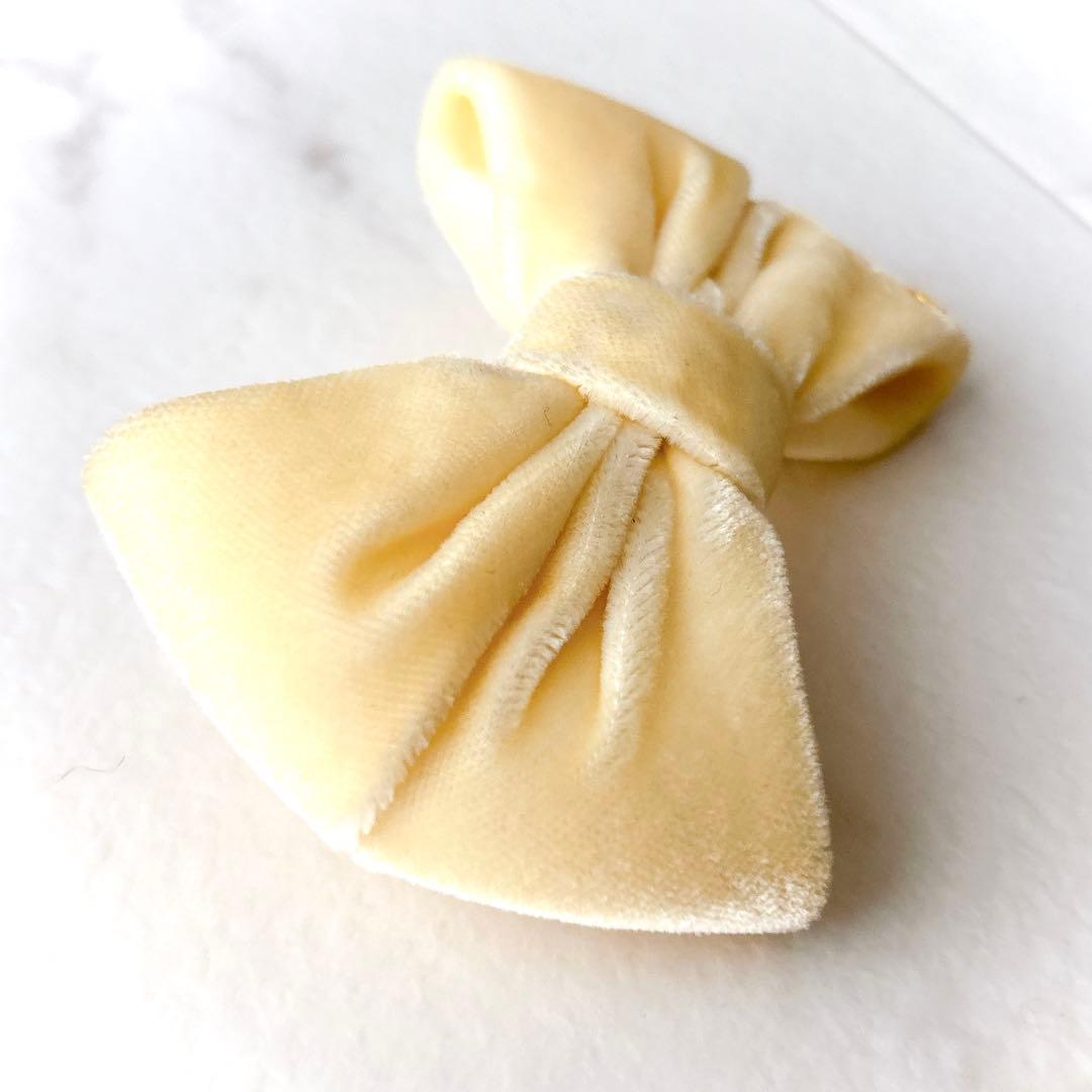 美品 アレクサンドルドゥパリ ベロア リボンバレッタ IVO 秋冬アクセサリー