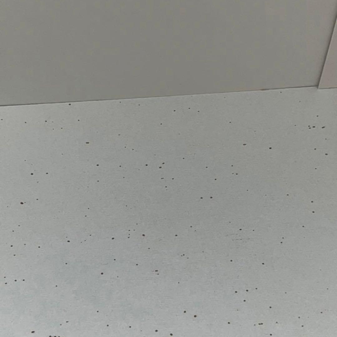 ラウジッツァーグラス 花瓶