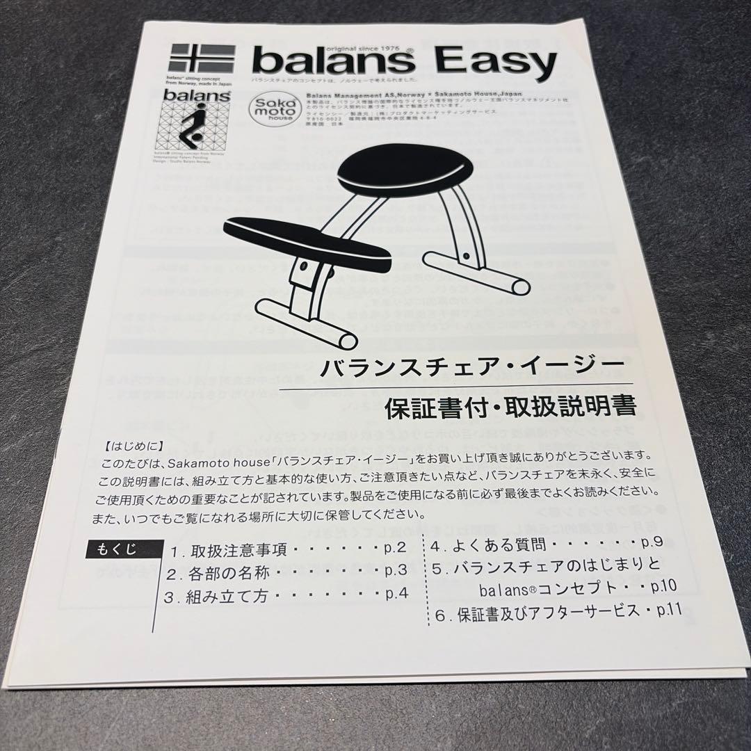 バランスチェア　サカモトハウス