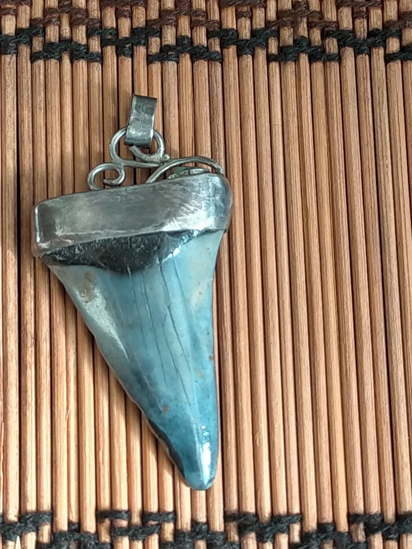 化石 サメの歯　メガロドン　 銀925 ヘッドのみ 未使用