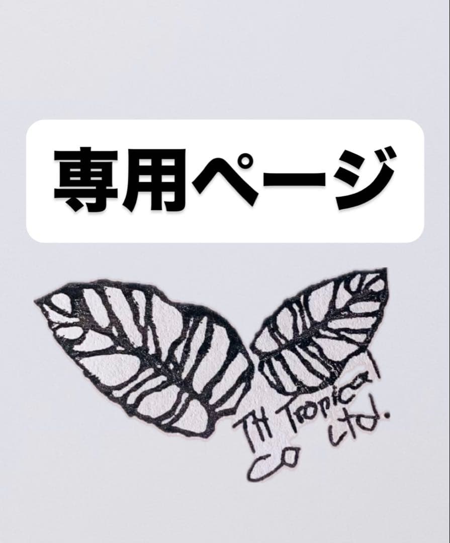 モンステラ・ポトス ASK Uniiae