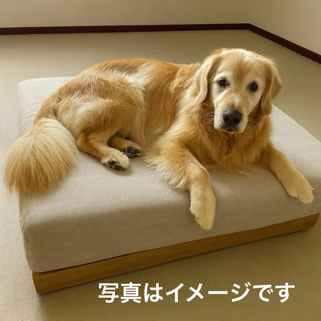 大型犬・人兼用ローソファ 未使用級 オットマン付 80×80 木製ベース