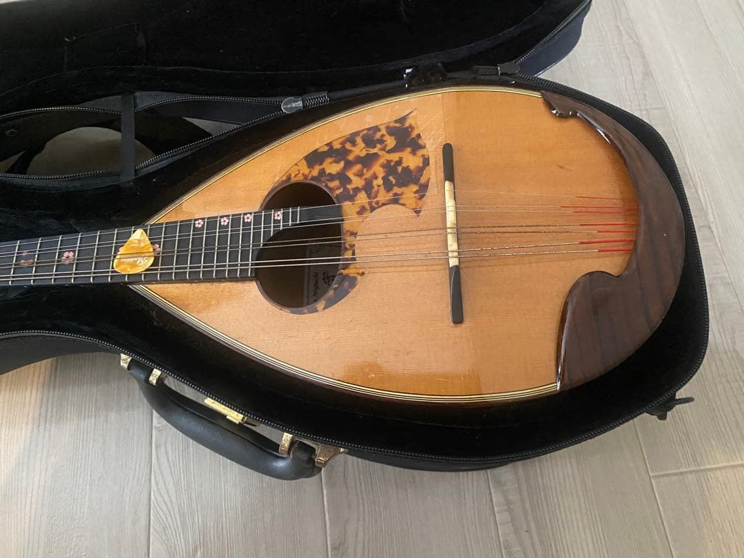 木製マンドリン チューナー付き ハードケース