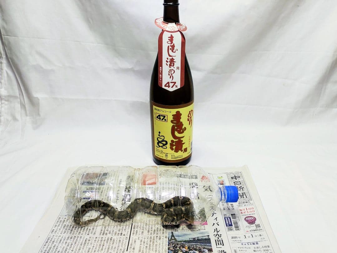 まむし焼酎！2026令和8年