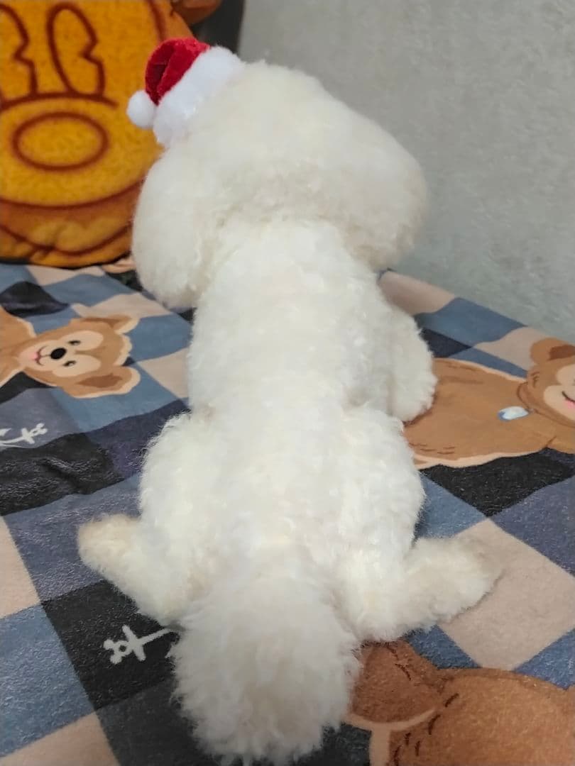 送料込み♡トイプードルちゃん。
