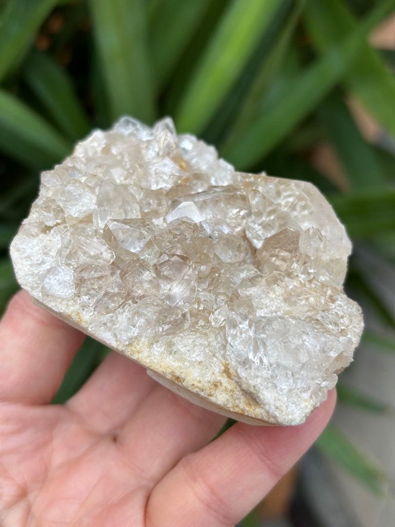 インド　メルー峰　シャークス・フィン　クラスター　希少　243g メルー水晶