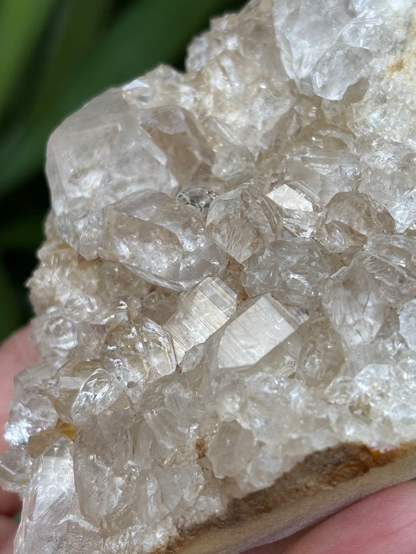 インド　メルー峰　シャークス・フィン　クラスター　希少　243g メルー水晶